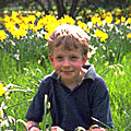 Young boy smiling sitting amongst daffodils